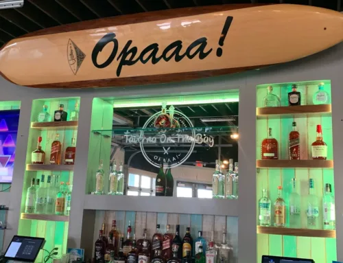 Taverna on The Bay in St. Pete Beach: Exceptional Food, Stunning Views, and Warm Hospitality