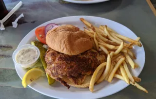 Blackened Mahi Mahi on a bun with french fries