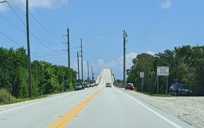 The long road in
