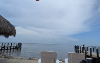 The View